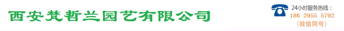 西安梵哲兰园艺有限公司